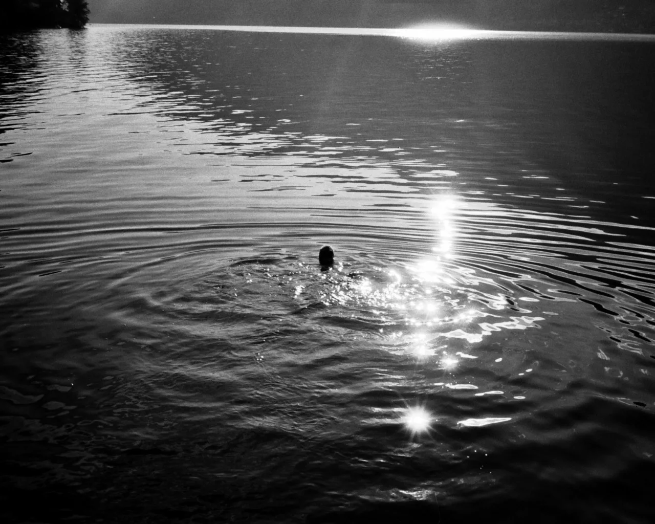 Black-and-white photograph of a swimmer's head in dark water, with sunlight glittering on the ripples around them.