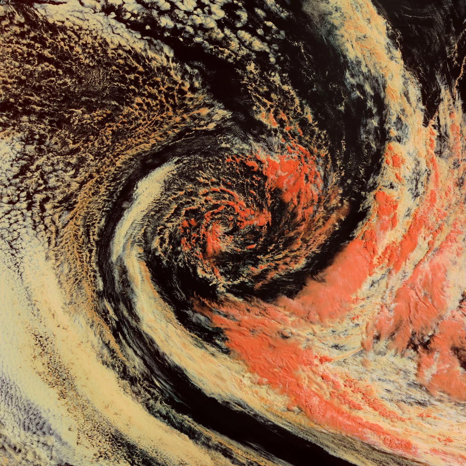 Satellite image of a storm spiralling over the southern ocean, in cream, black and coral.