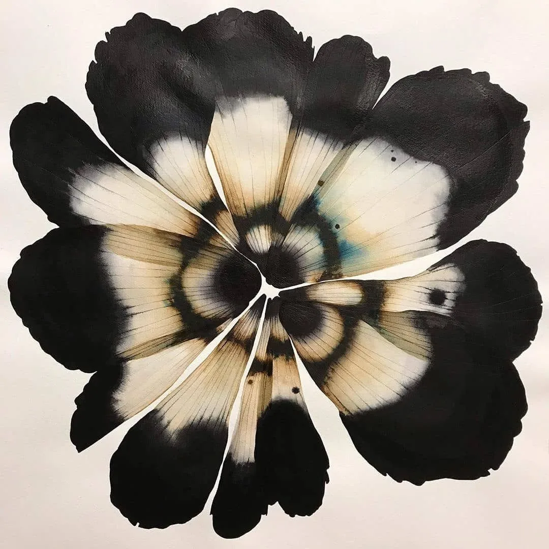 A flower painted in black and cream, cut into petal-shaped segments and reassembled on white paper, with dark outer petals and pale veined centres.