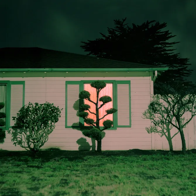 No. 138, photo: quiet, serious, organic