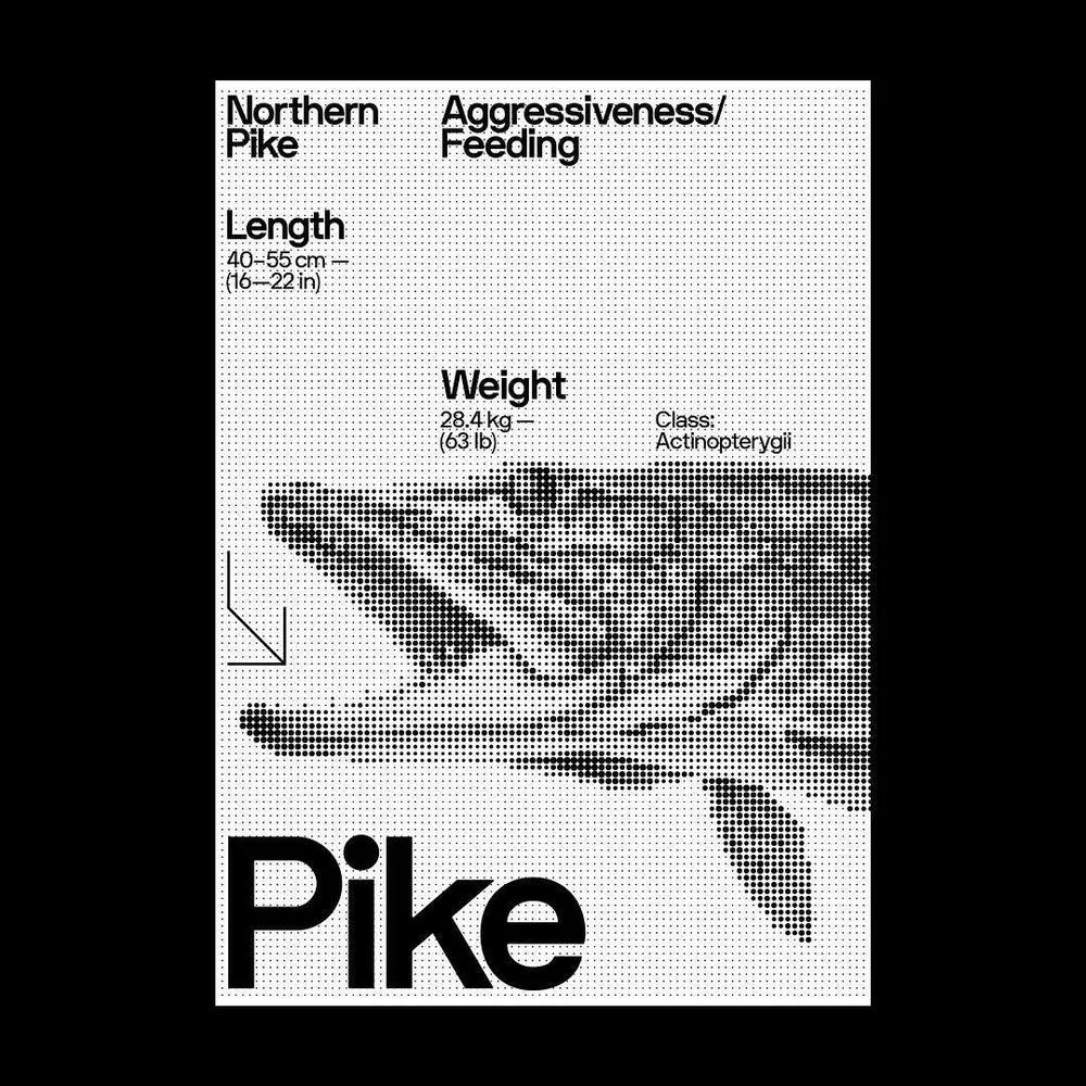 No. 165, poster: bold, editorial, minimal
